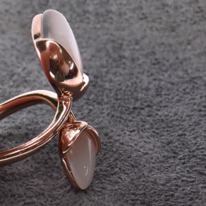 صورة مصغرة 3