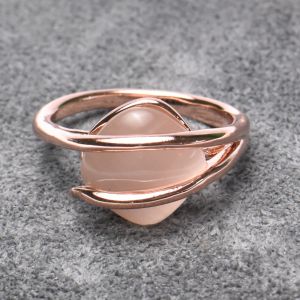 صورة مصغرة 4