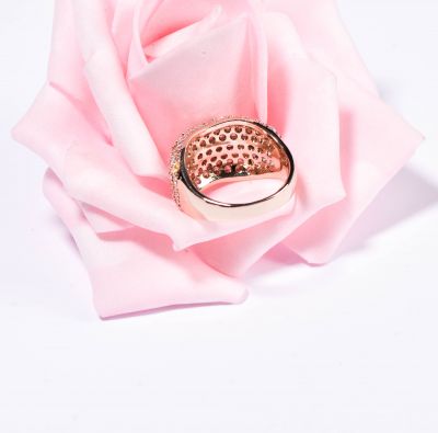 صورة مصغرة 4