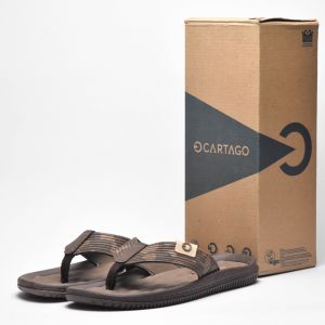 CARTAGO DUNAS VI AD BROWN