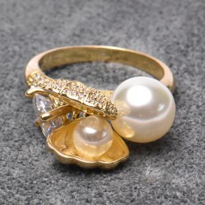 صورة مصغرة 3