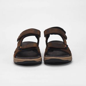 صورة مصغرة 4